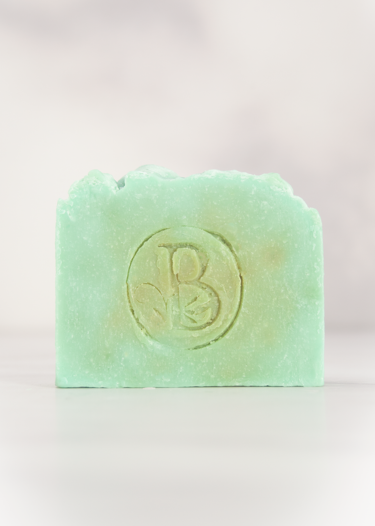 Jabón en Barra Fino de Aloe Vera, 90g
